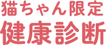 猫限定 健康診断