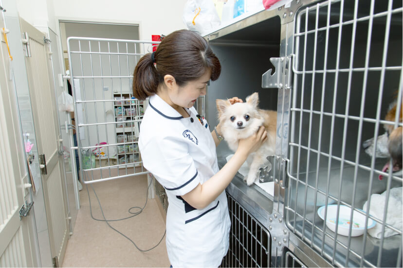 採用情報 RECRUIT