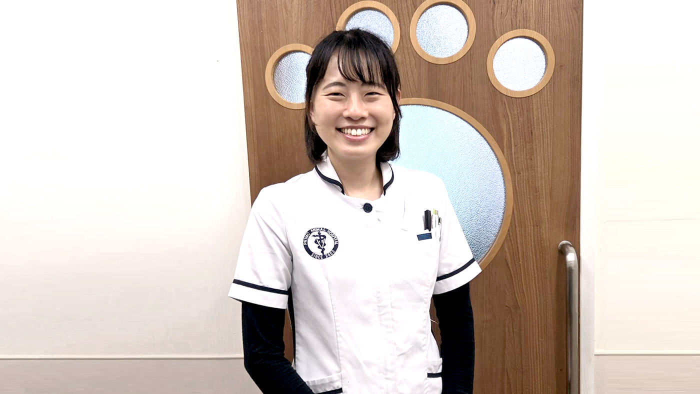 篠原優依