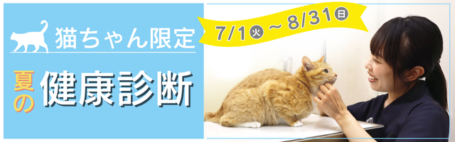 2025夏バナー