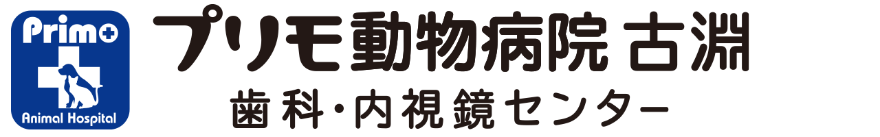 プリモ動物病院 古淵